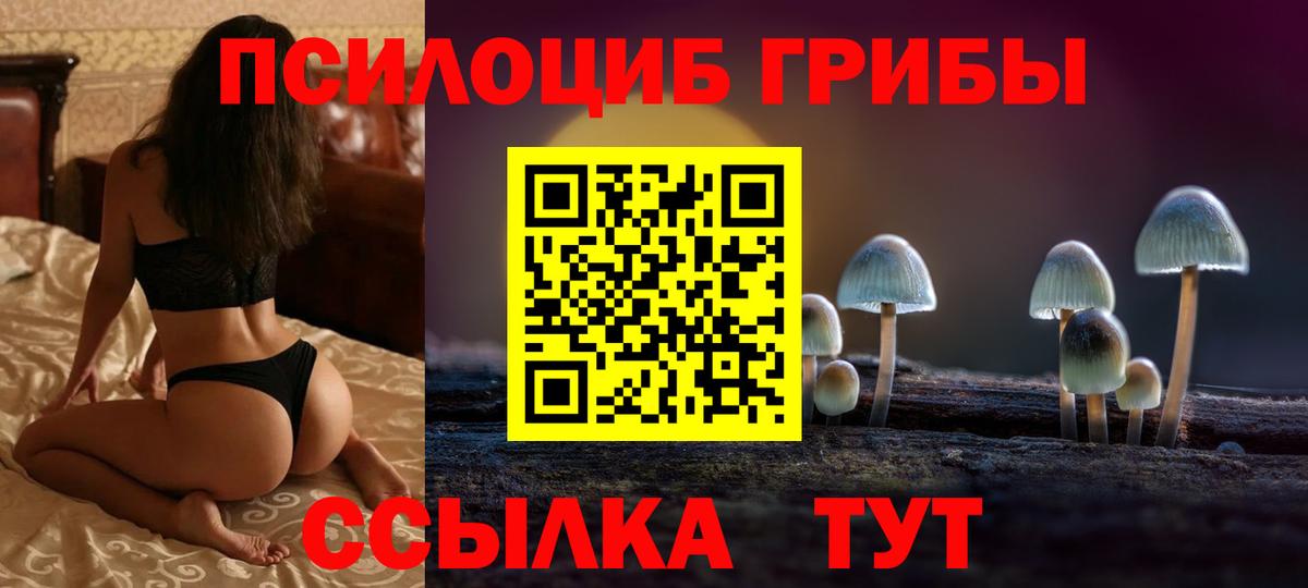 Рязань  купить наркоту  Вход с VPN  Псилоцибиновые грибы Psilocybe  Псилоцибиновые грибы Psilocybe 